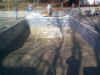 In Ground Pools