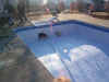 In Ground Pools
