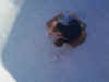 In Ground Pools