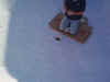 In Ground Pools