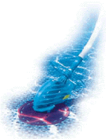 Baracuda Ranger Pool Cleaner