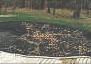 Swimming Pool Leaf Nets