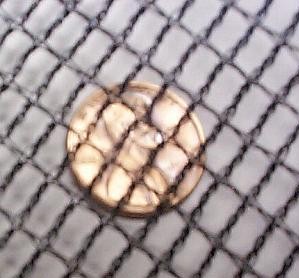 close up view of leaf net spacing