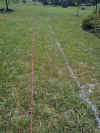 In Ground Pools