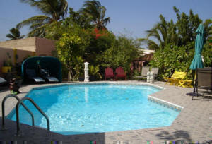 Click to See More Details on this Kidney Shaped On Ground Swimming Pool