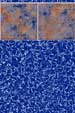 Mystic Stone Pattern Inground Pool Liners