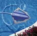 View All Above Ground Pool Cleaners