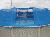 Screen Pool Dome with Door Open