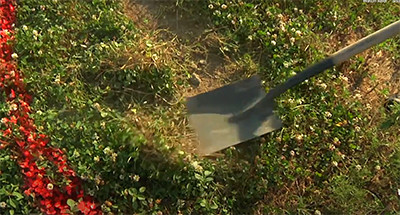 Above Ground Pool Installation Preparation