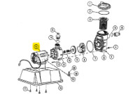 CaliMar & Doughboy Motor 3/4HP | 300-1153 | 62847