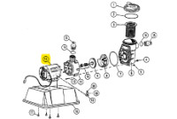 CaliMar & Doughboy Pump Motor | 1 HP Motor | 300-1153 | 66394