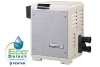 Pentair MasterTemp Low NOx Pool Heater - Electronic Ignition - Propane - 400,000 BTU | EC-462029