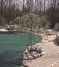 PoolTux  KING99 Green Mesh Safety Cover |  20' X 44' | FLUSH RIGHT STEP | CSPTGMP20443