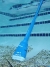 Water Tech Pool Blaster Aqua Broom | BROOM