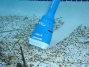 Water Tech Pool Blaster Aqua Broom | BROOM