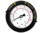 Pentair OEM Pressure Gauge with Clean-Dirty Indicator | .25" NPT | Bottom/Back Mount | 190059 | 58336