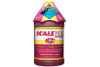 Easy Care Scaletec Plus Pool Surface and Tile Descaler with Stain Remover | 64 oz  | 20064