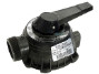 Pentair / Sta-Rite Plug and Cover Assembly for 1.5" Multiport Backwash Valve | 77704-0104 | 64293