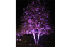 NeuTerra 'Terra Series' Landscape BlueTooth Control Color Spot Lights | 2-Pack | TER-ABGLSL | 66432
