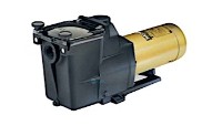 Hayward Super Pump .75HP Uprated 115V 230V | W3SP2605X7 | 53018