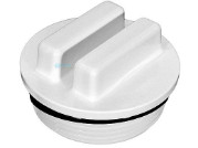 Hayward 1.5" Winterization Plug With O-Ring | SP1022C