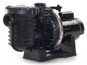 Pentair Sta-Rite Max-E-Pro High Efficiency Pool & Spa Pump | 1.10 THP | TEFC Motor | 348185 | 64371