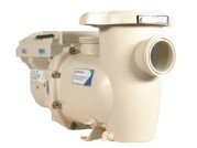 Pentair IntelliFlo3 VSF Variable Speed & Flow Pool Pump | 3THP 208-230V | 011075 | 64540